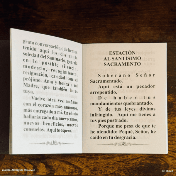 Novena 15 Minutos con Jesus Sacramentado Book of Prayer - Image 5